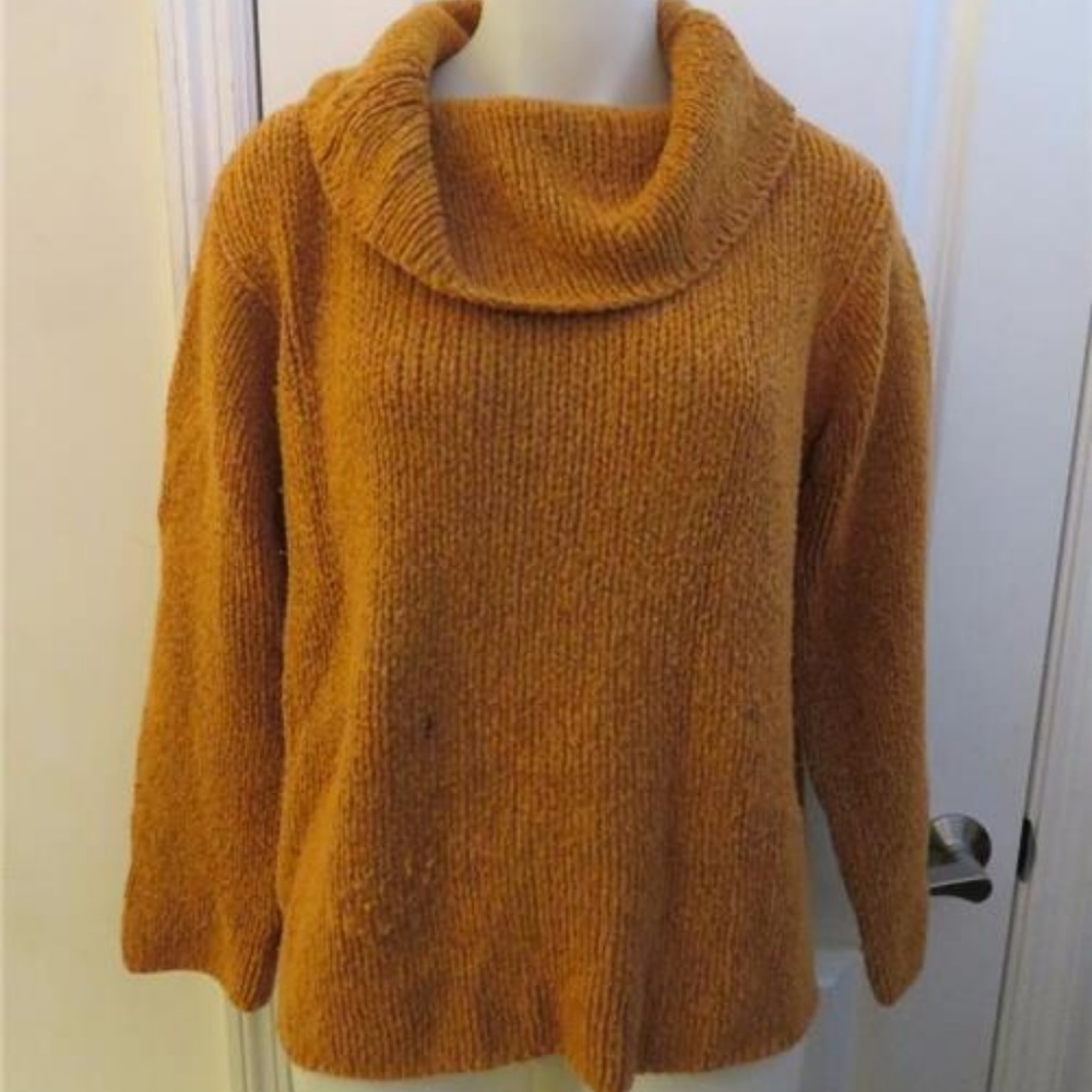 EILEEN FISHER ORANGE/BROWN TURTLE NECK  SWEATER L